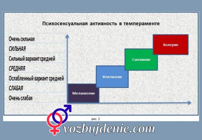 Психологическая активность в темпераменте