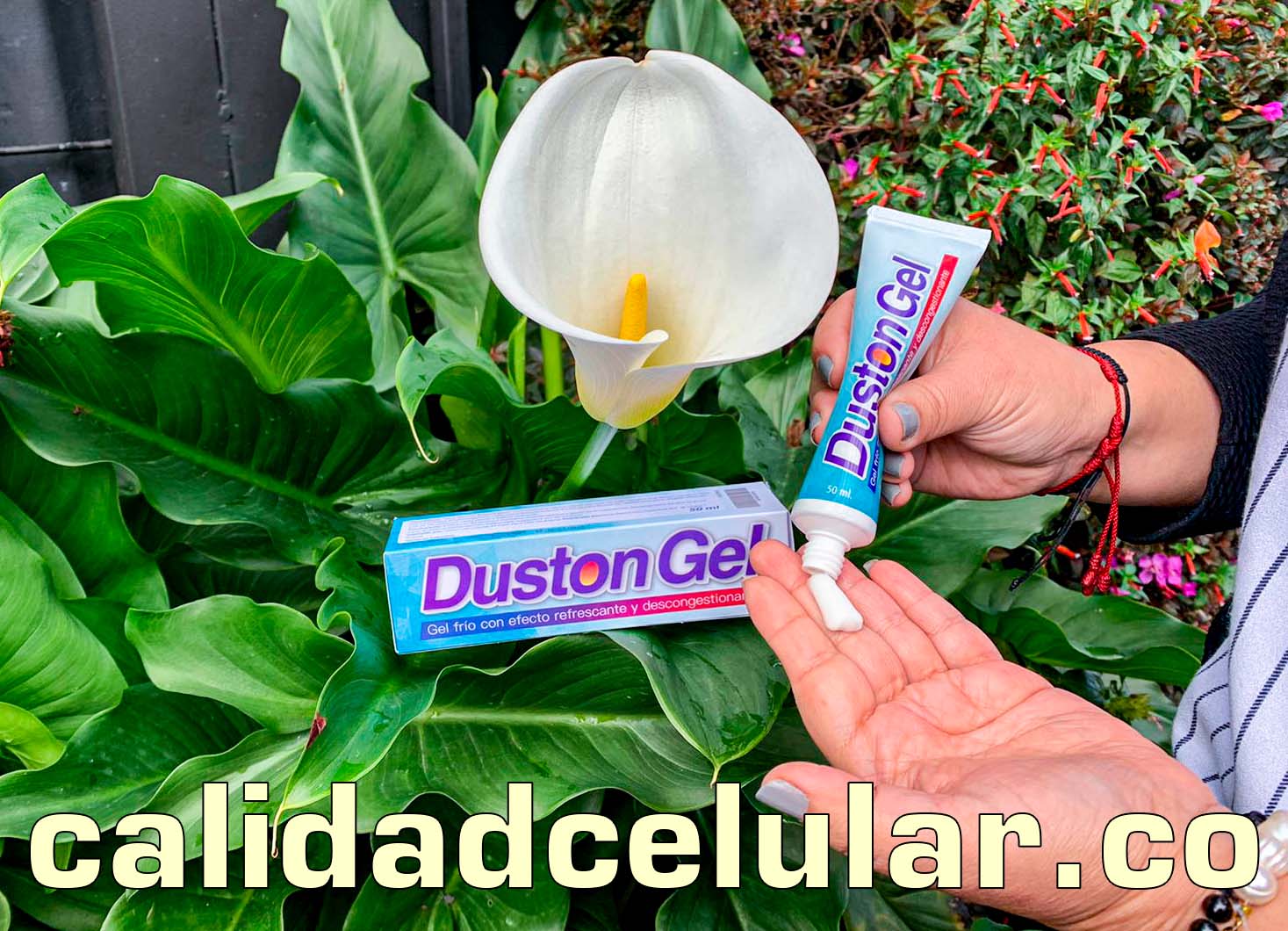 ¿Qué es Duston Gel? Reseñas y opiniones negativas